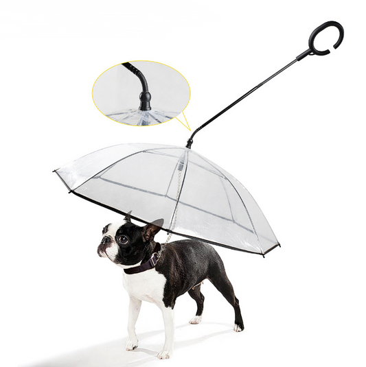 Transparent Pet Umbrella